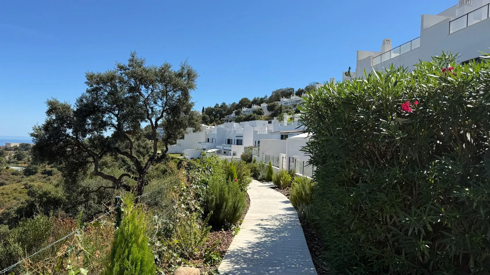 WhatsApp Image 2025-11-28 at 12.52.37 (5)