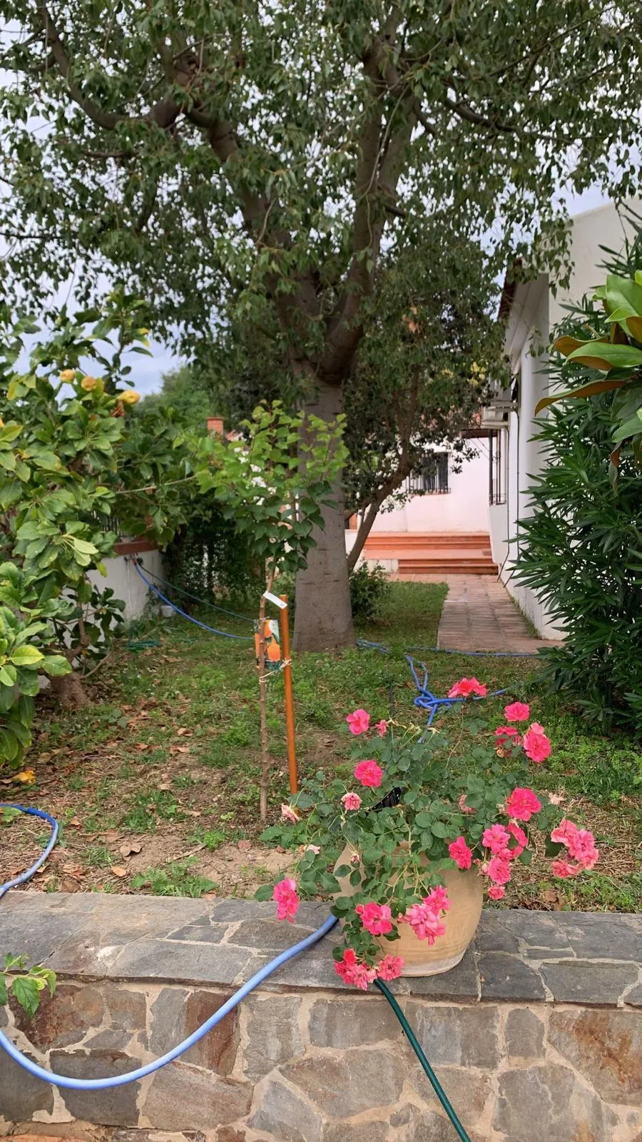 WhatsApp Image 2026-01-16 at 10.41.12 (1)