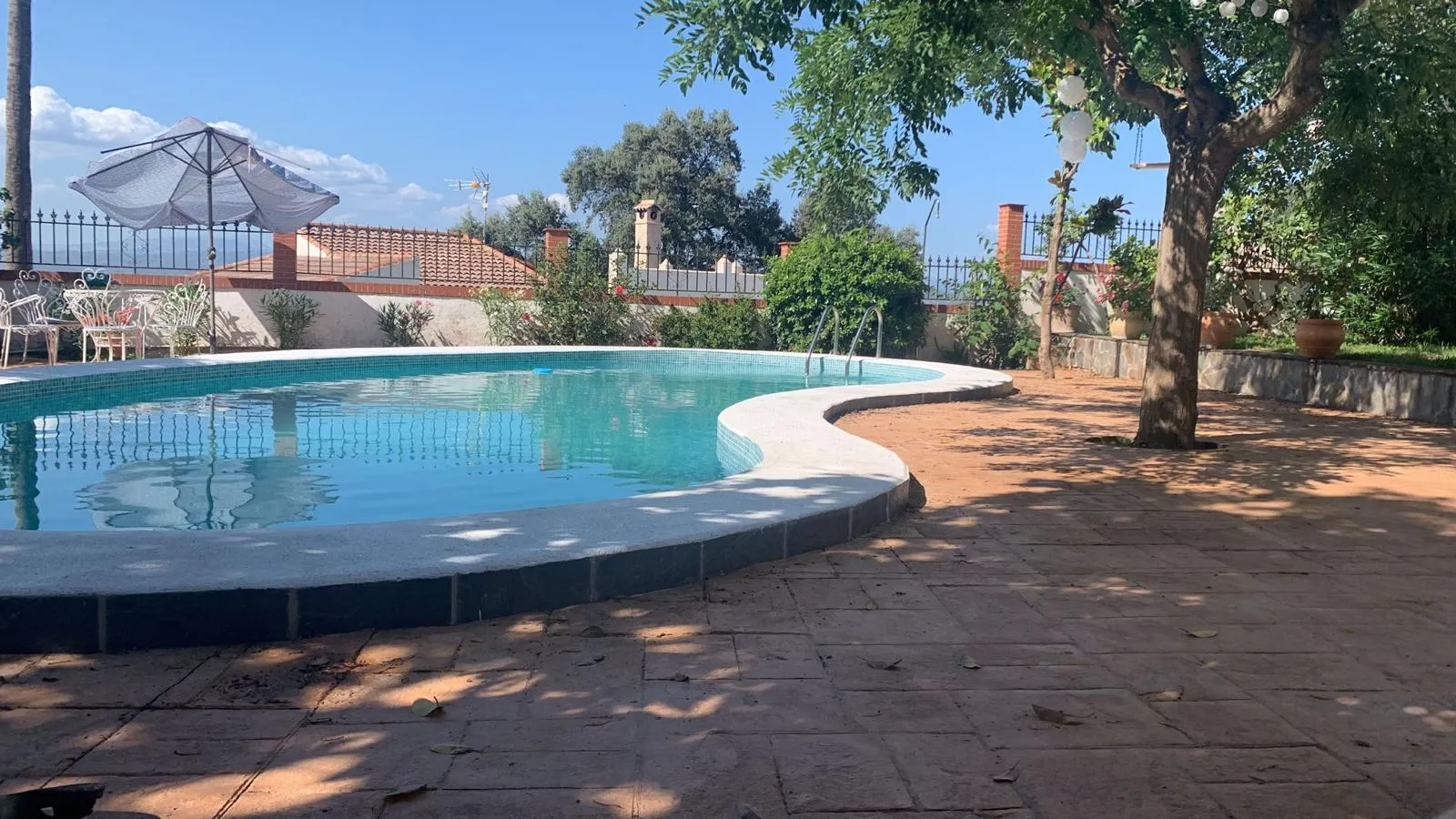 WhatsApp Image 2026-01-16 at 10.41.12 (6)