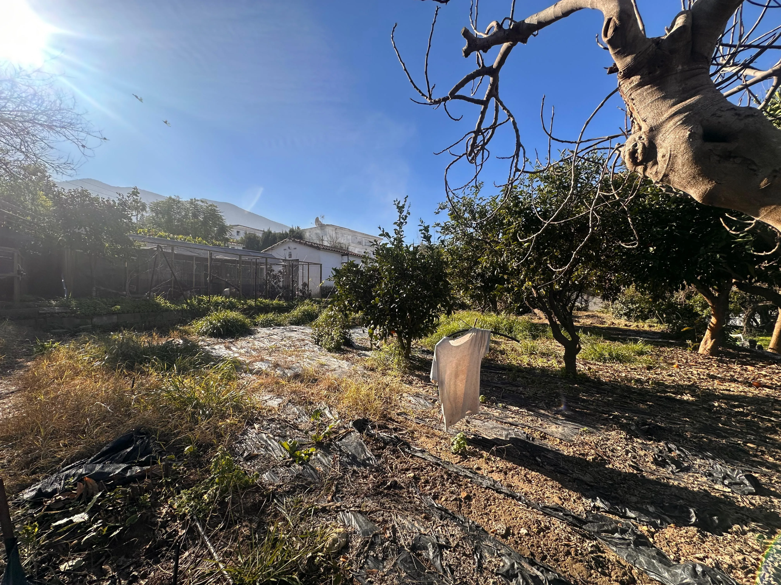 WhatsApp Image 2026-01-16 at 10.51.44 (1)