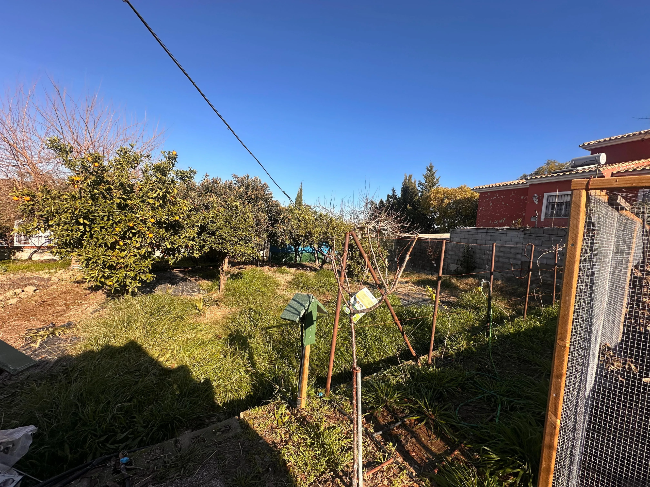 WhatsApp Image 2026-01-16 at 10.51.44 (2)