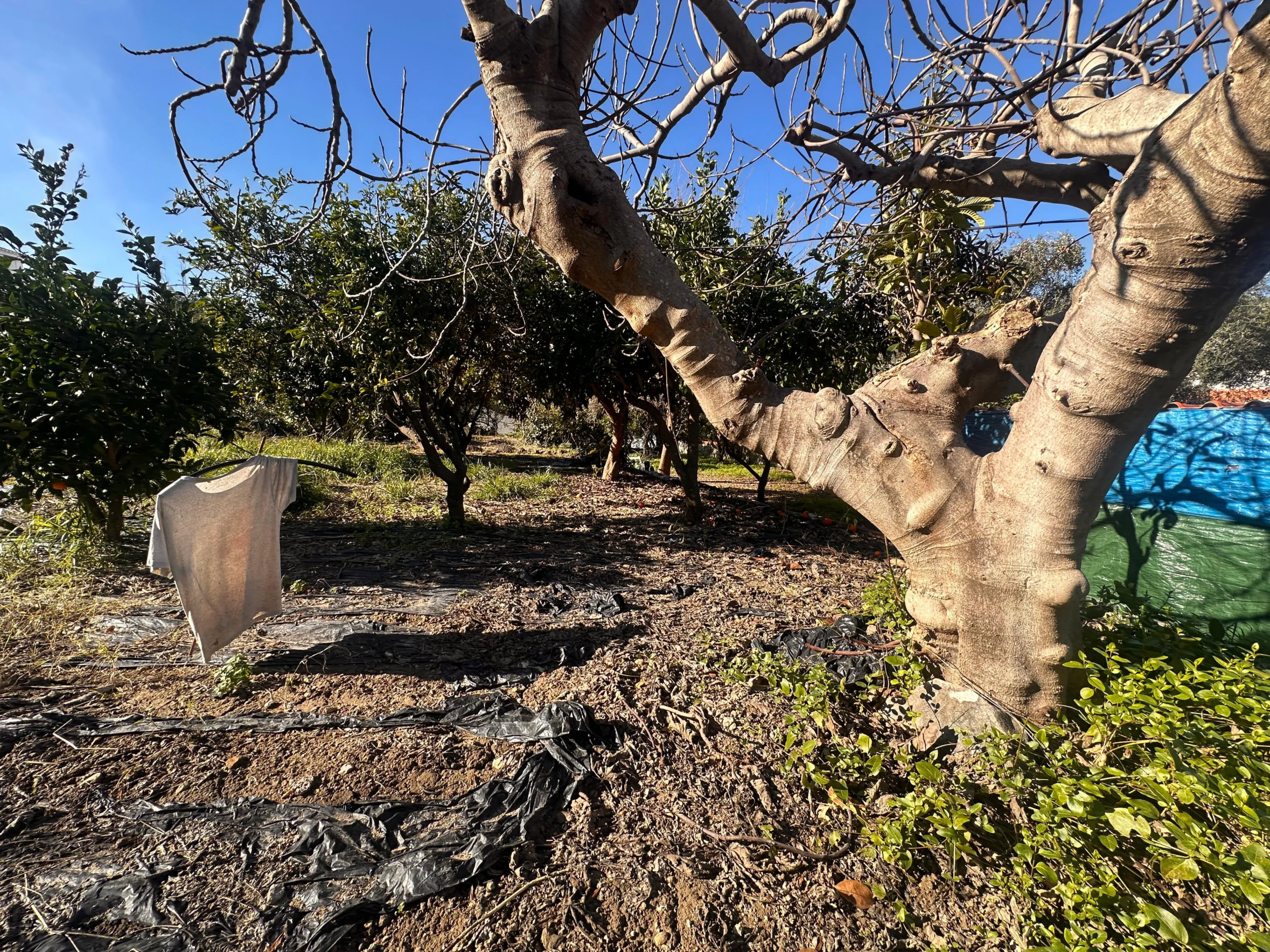 WhatsApp Image 2026-01-16 at 10.51.44 (3)