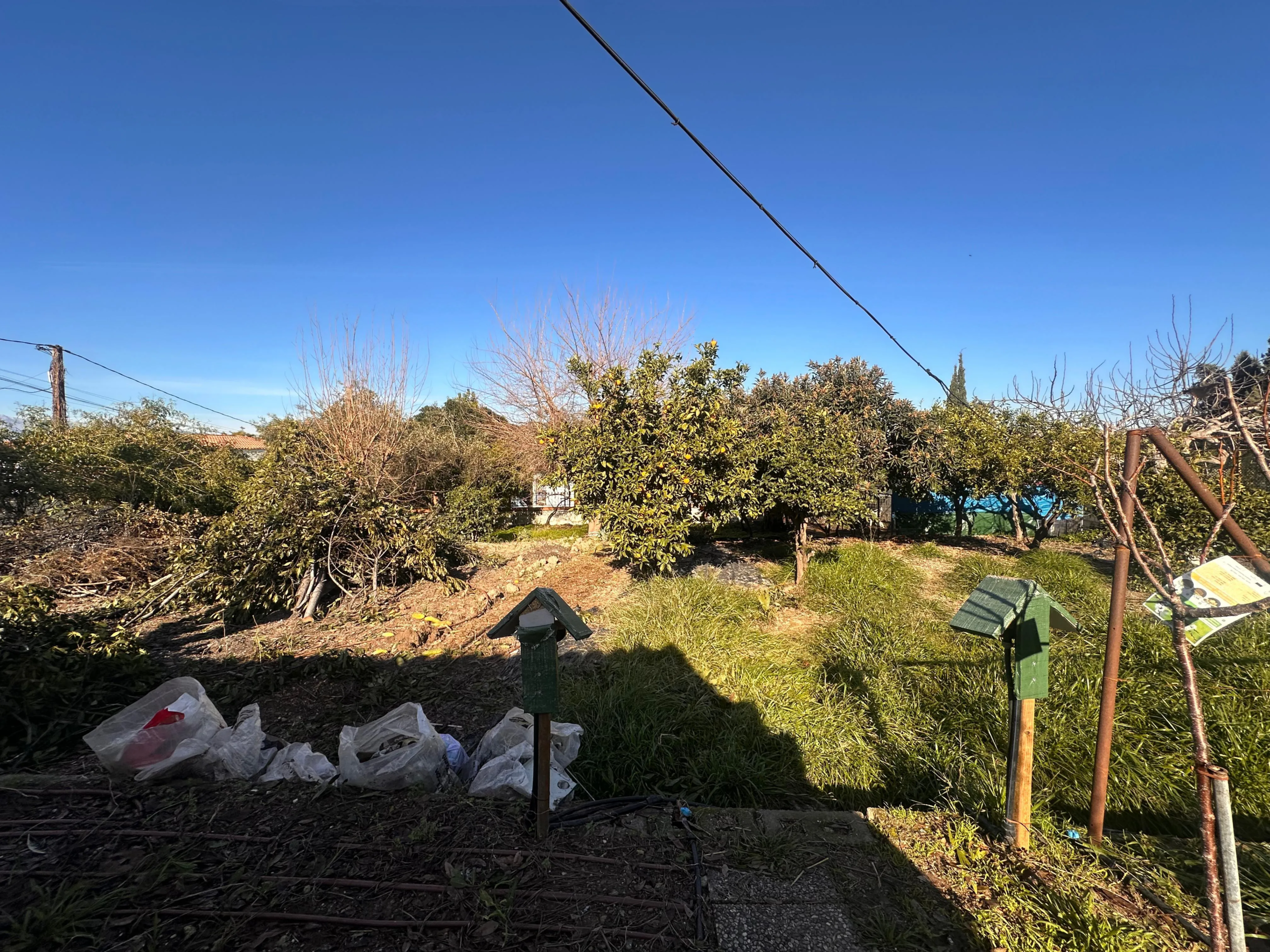 WhatsApp Image 2026-01-16 at 10.51.44